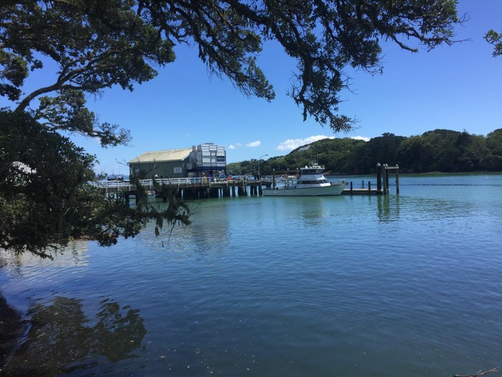 By The Bay Beachfront Apartments Mangonui Quarto foto
